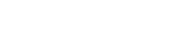 D&S Logo